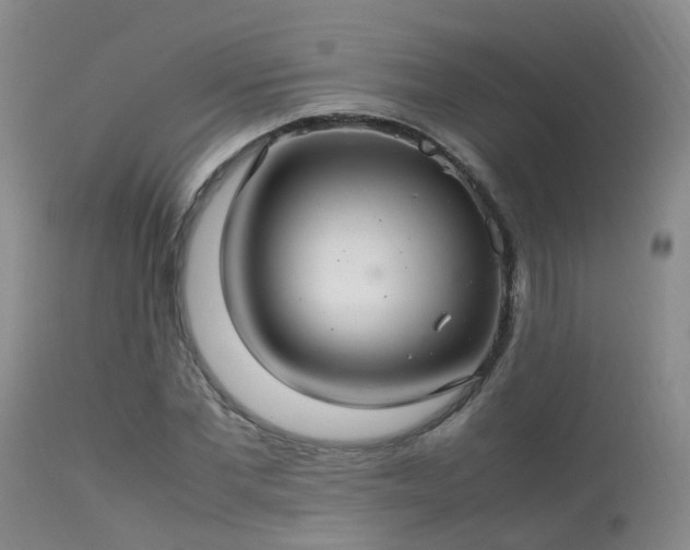 X0000113620877200909251204