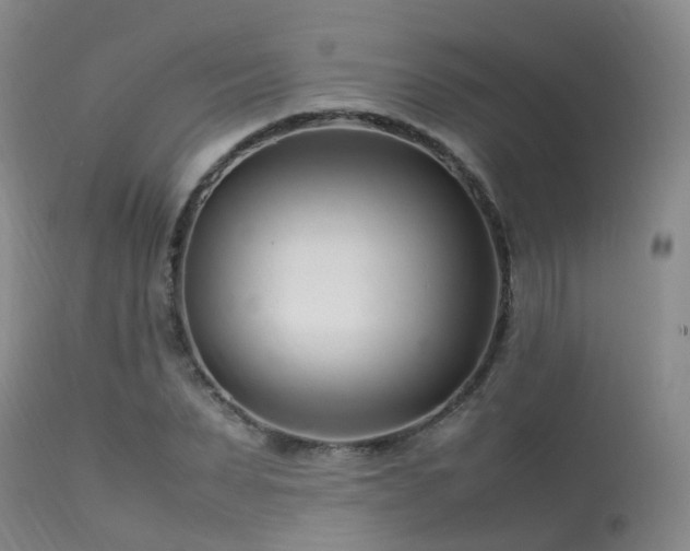 X0000113620879200909251204