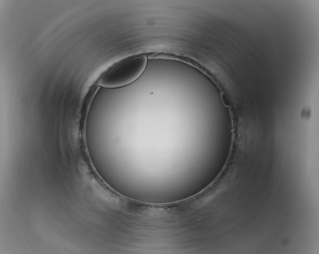 X0000113620880200909251204