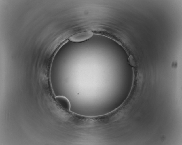 X0000113620881200909251204