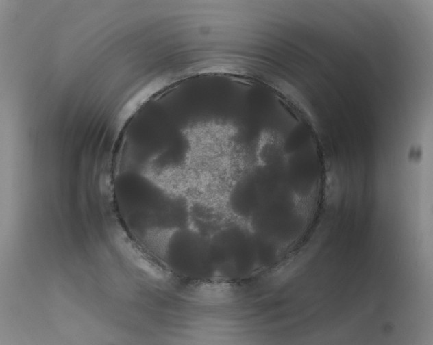 X0000113620882200909251204