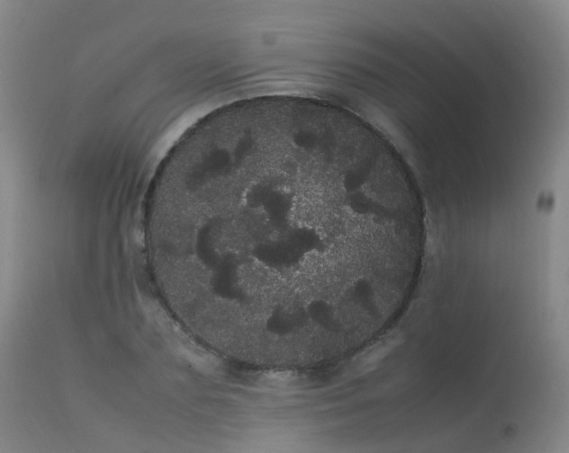 X0000113620883200909251204