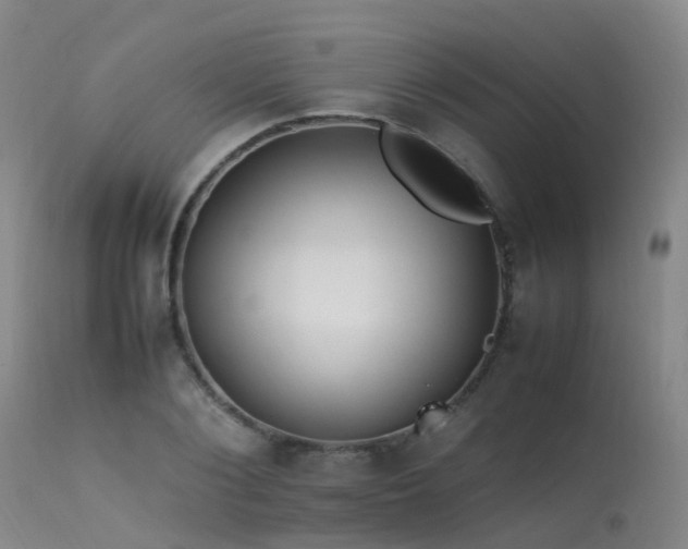 X0000113620884200909251204