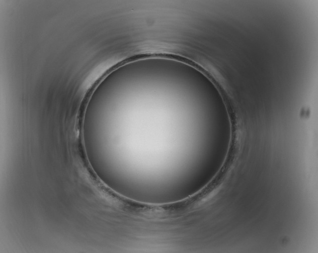 X0000113620885200909251204