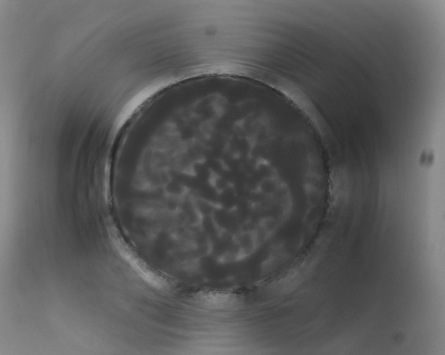 X0000113620886200909251204