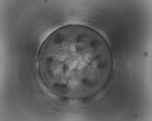 X0000113620887200909251204