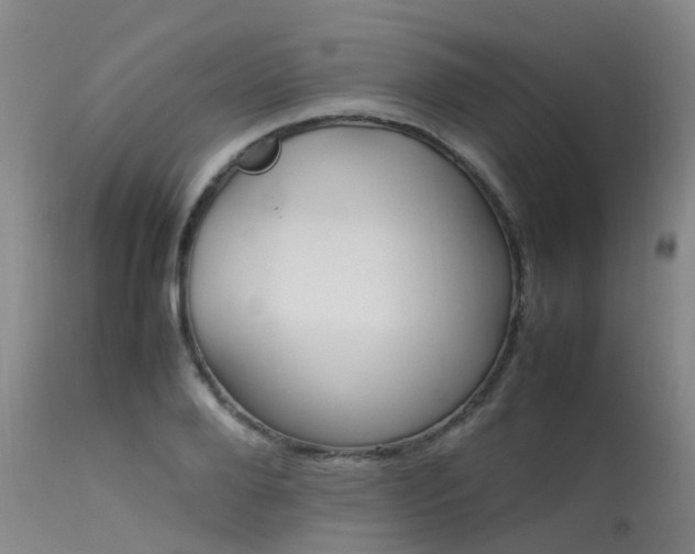 X0000113620888200909251204