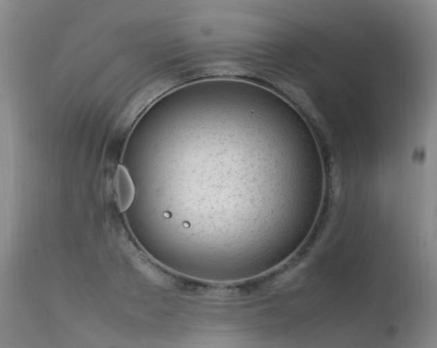 X0000113620889200909251204