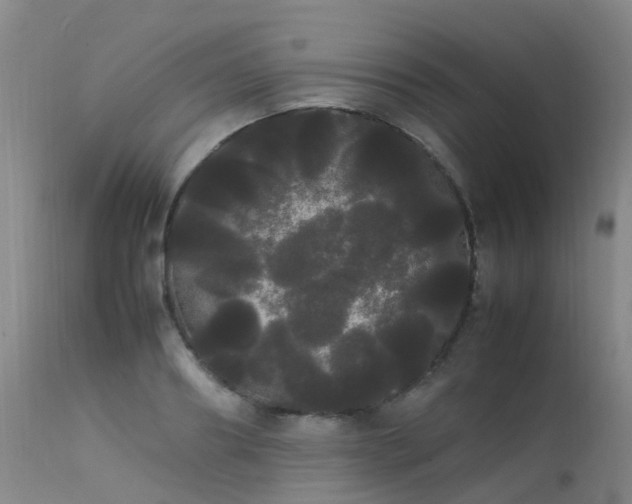 X0000113620890200909251204