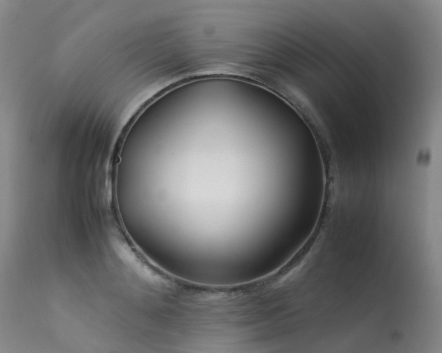 X0000113620892200909251204