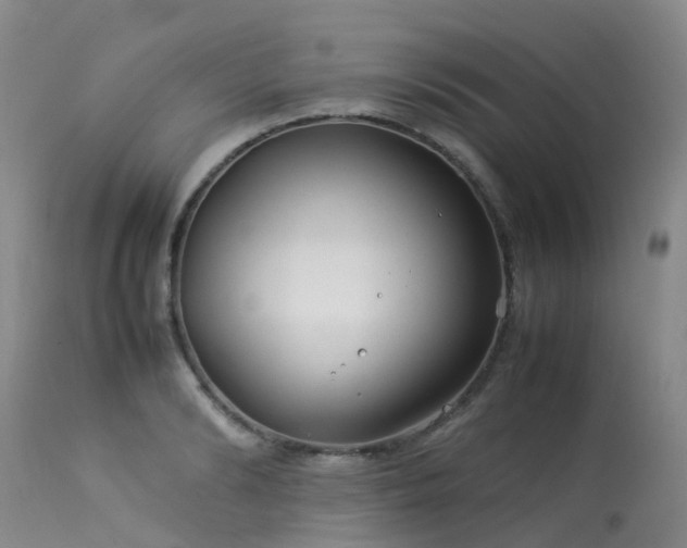 X0000113620894200909251204