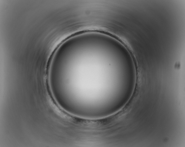 X0000113620895200909251204