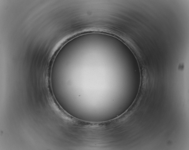 X0000113620896200909251204