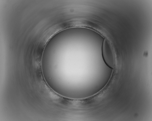 X0000113620897200909251204