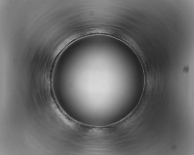 X0000113620898200909251204