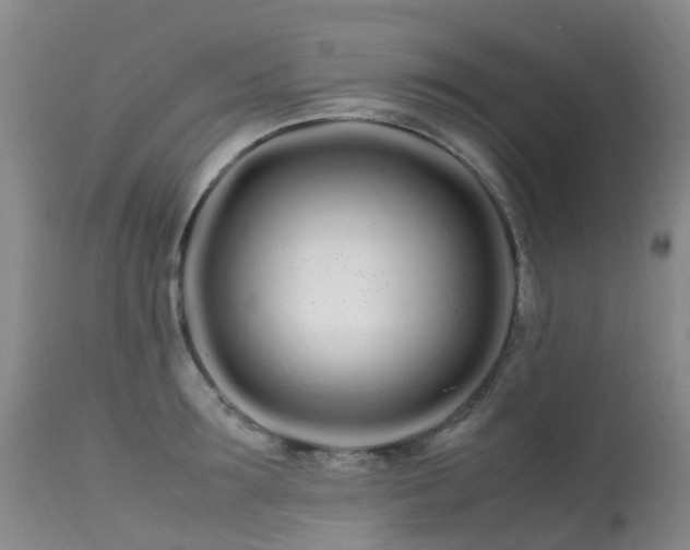 X0000113620899200909251204