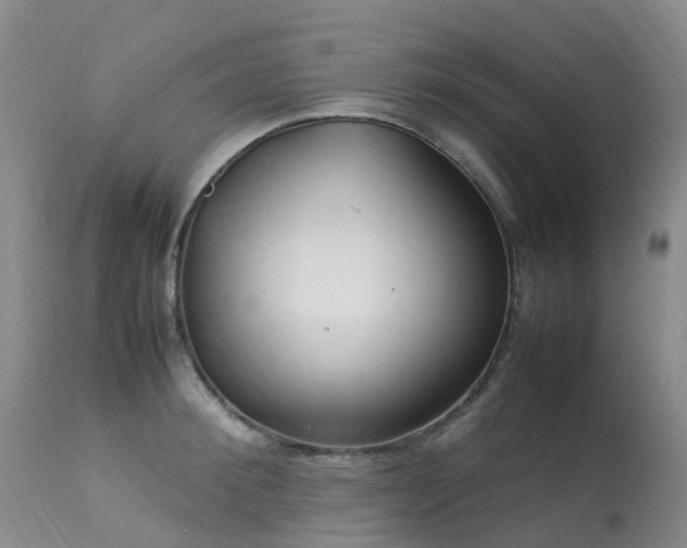 X0000113620900200909251204