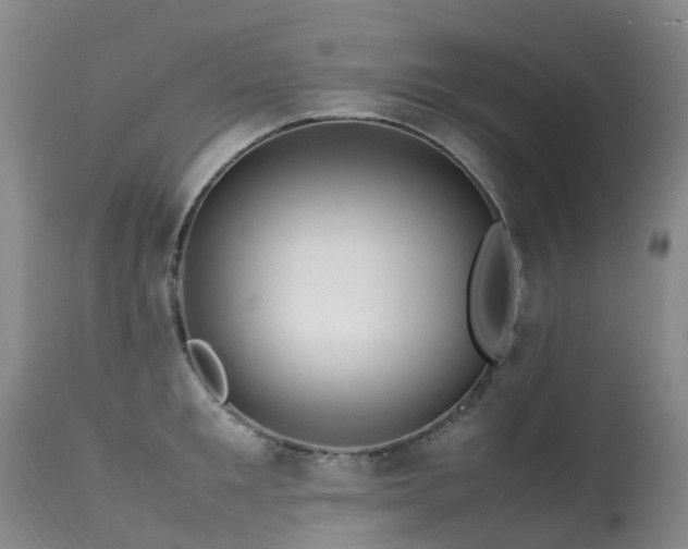 X0000113620901200909251204