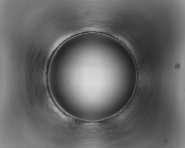 X0000113620902200909251204