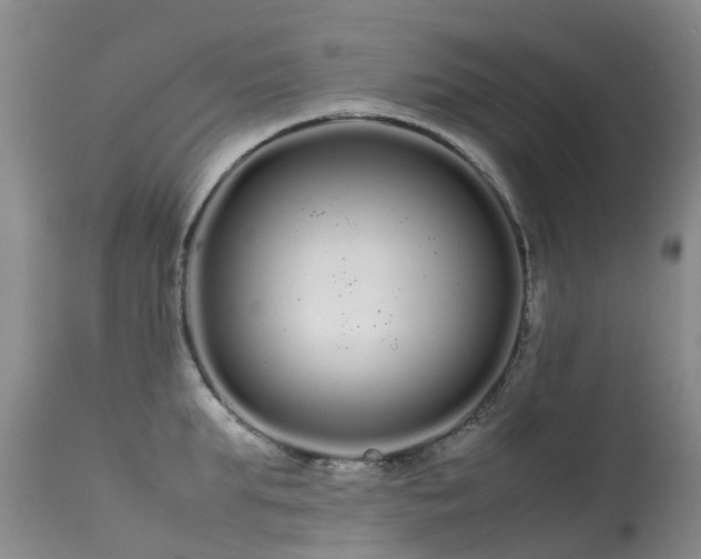 X0000113620903200909251204