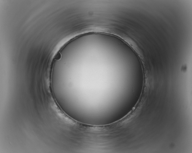 X0000113620904200909251204