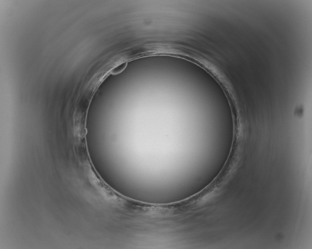 X0000113620905200909251204