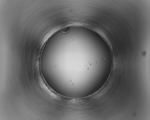 X0000113620906200909251203