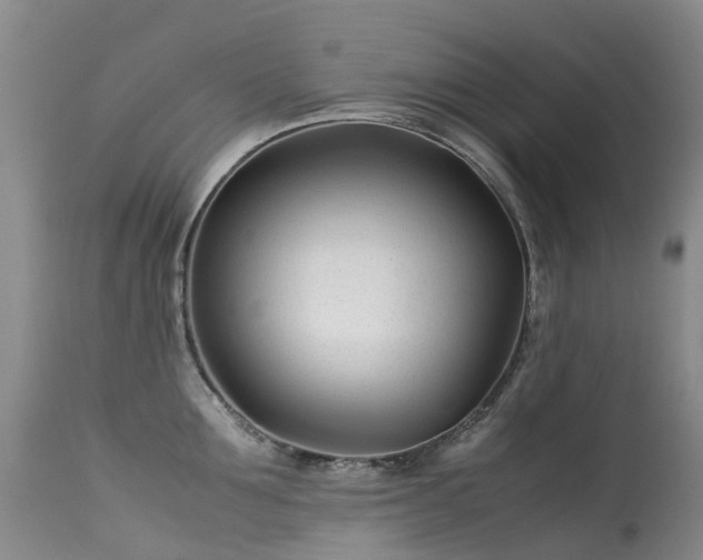 X0000113620907200909251203