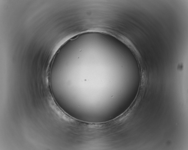 X0000113620908200909251203