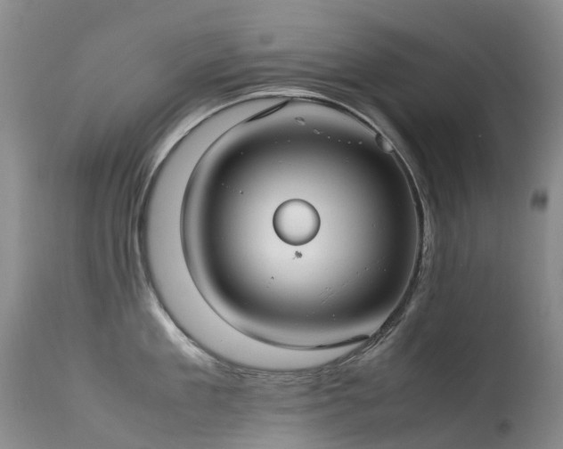 X0000113620909200909251203