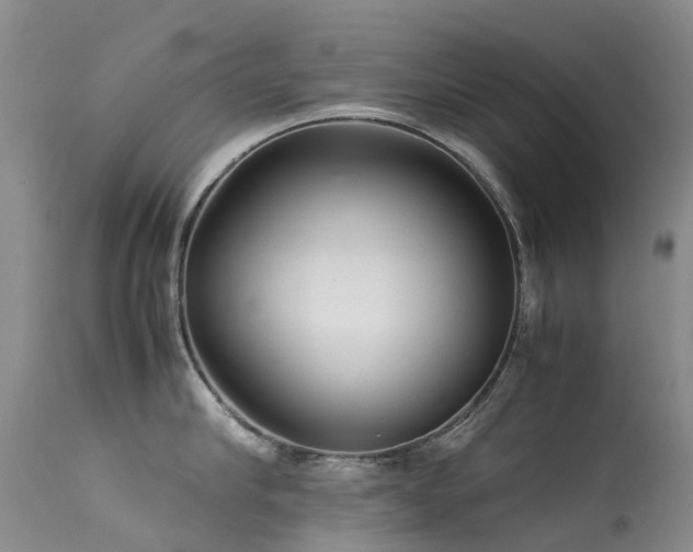 X0000113620910200909251203