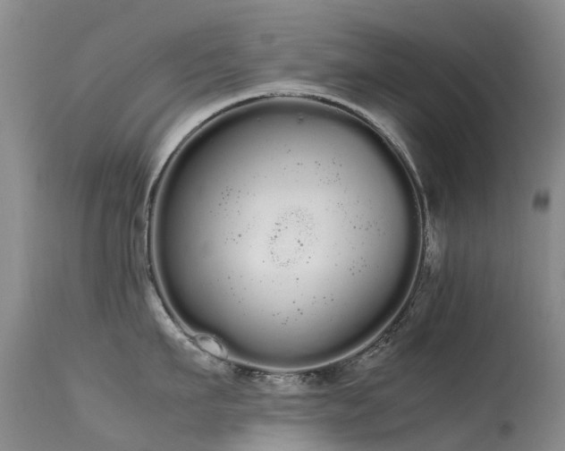 X0000113620911200909251203