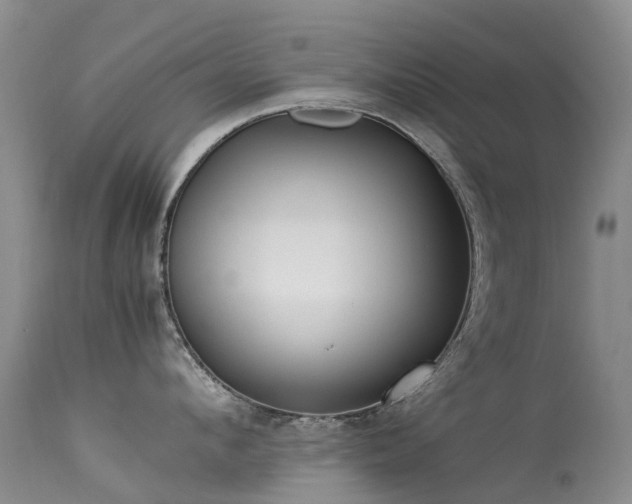 X0000113620912200909251203