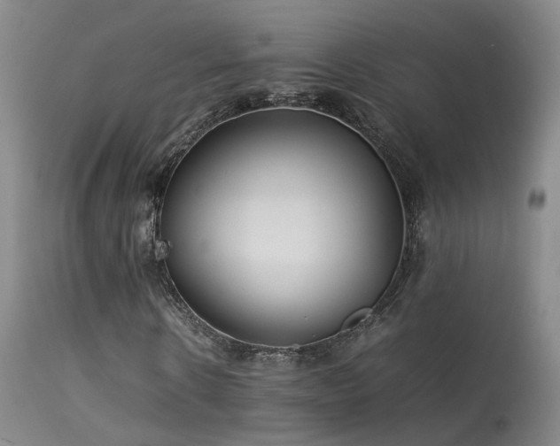 X0000113620914200909251203