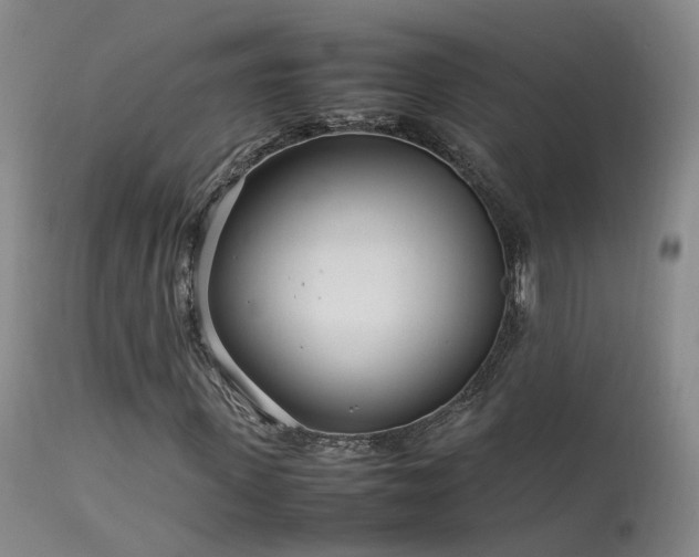 X0000113620915200909251203