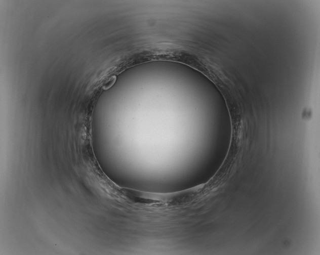 X0000113620916200909251203