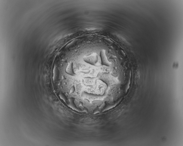 X0000113620917200909251203