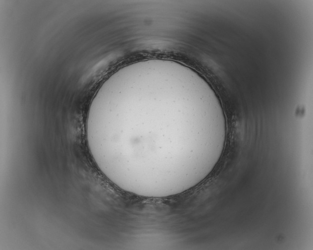 X0000113620918200909251203