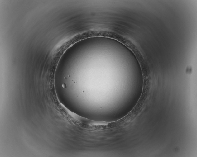 X0000113620919200909251203