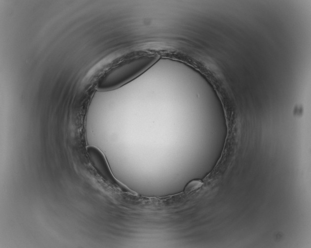 X0000113620920200909251203