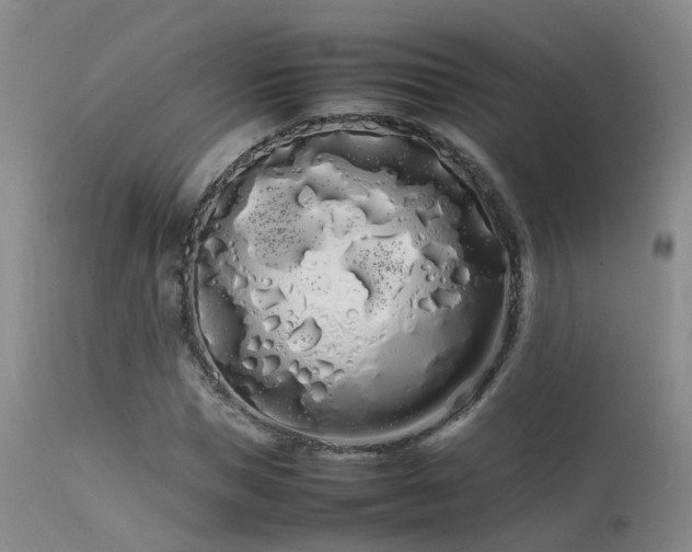 X0000113620921200909251203