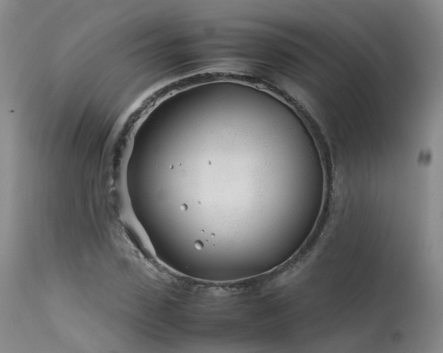 X0000113620923200909251203