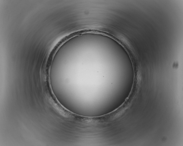 X0000113620924200909251203