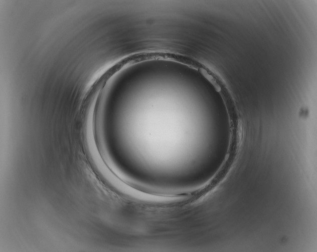 X0000113620925200909251203