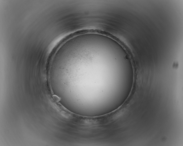 X0000113620927200909251203