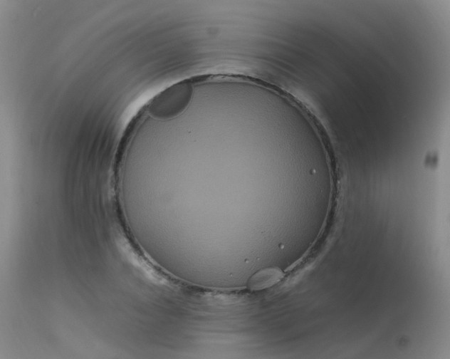 X0000113620928200909251203