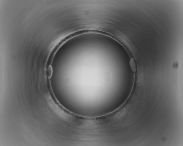 X0000113620932200909251203