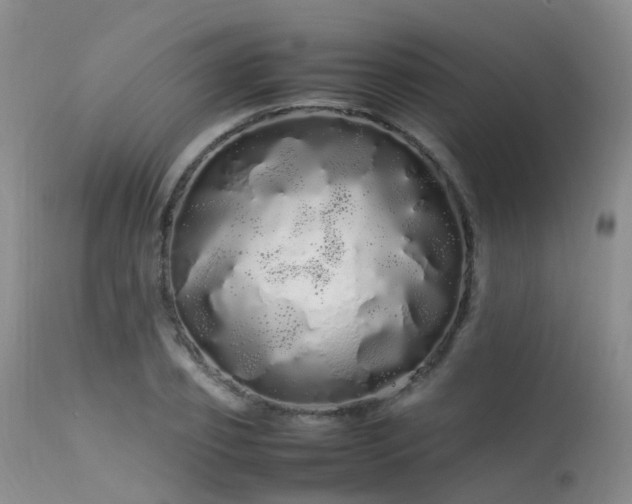 X0000113620933200909251203