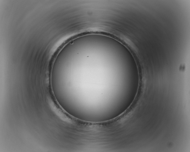 X0000113620934200909251203