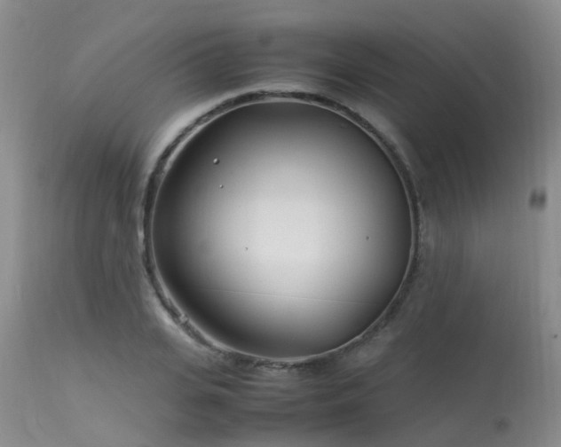 X0000113620935200909251203